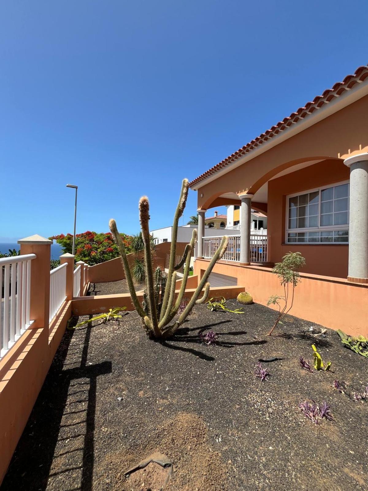 Chalet Piscina Privada Max 26º Jardin, Tranquilidad Caleta de Interián Dış mekan fotoğraf