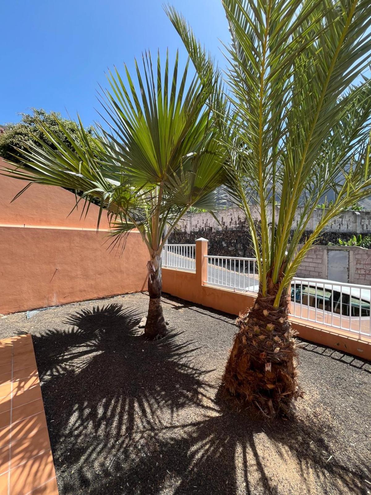 Chalet Piscina Privada Max 26º Jardin, Tranquilidad Caleta de Interián Dış mekan fotoğraf